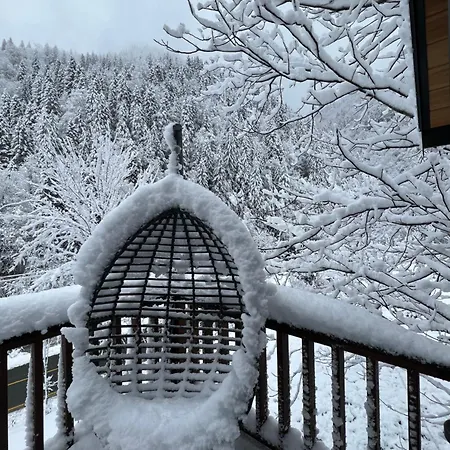 Chalet Vanak Stone
